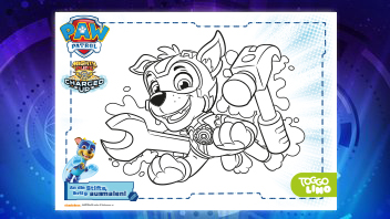 Tolle Ausmalbild-Vorlage zum Ausdrucken – Super-Rocky von PAW Patrol Mighty Pups Super Paws