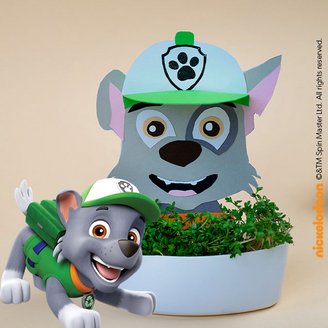 Der PAW Patrol Rockys Kresse Garten