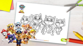 Das Cat-Pack von PAW Patrol als Ausmalbild-Vorlage zum Ausdrucken