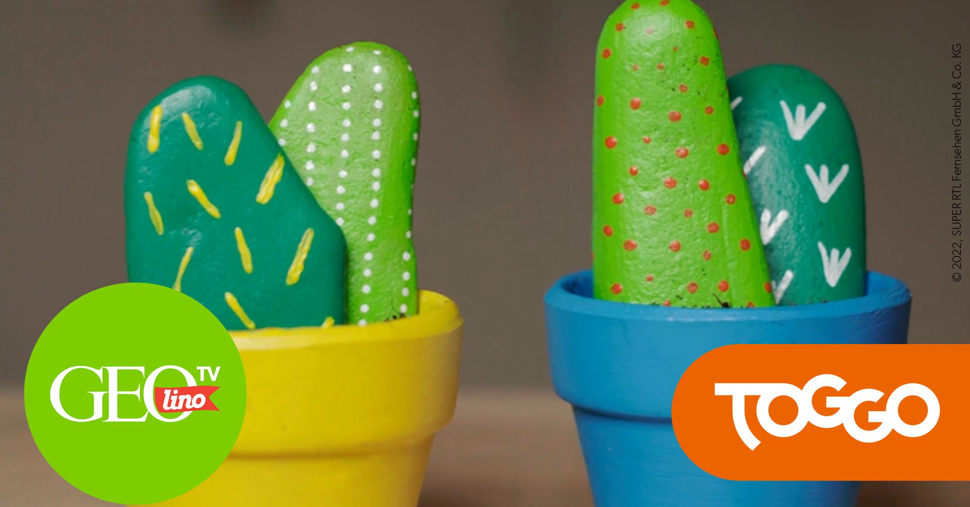 GEOLINO TV Stein Kaktus: DIY-Bastelanleitung | TOGGO Eltern