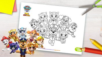 Ausmalbild PAW Patrol und Cat Pack zum Ausdrucken